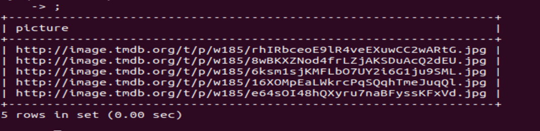 数据库设计相关的建库与查询操作界面